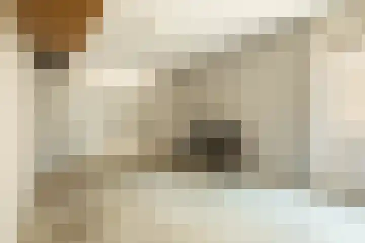 Hilde 6 Aalden thumbnail 32