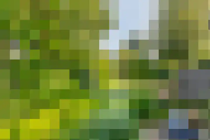 Hilde erf 54 Capelle aan den IJssel thumbnail 10