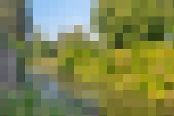 Hilde erf 54 Capelle aan den IJssel thumbnail 11