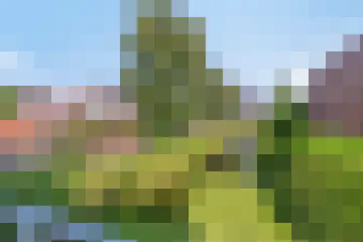 Hilde erf 54 Capelle aan den IJssel thumbnail 12