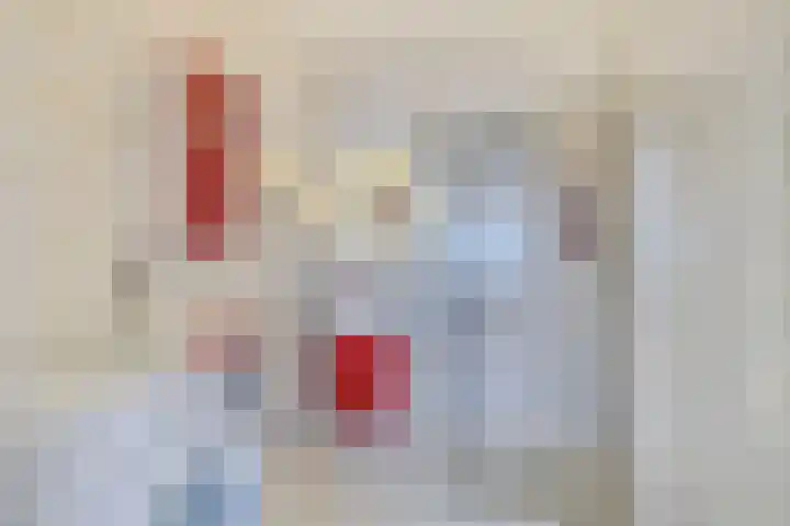 Hilde erf 54 Capelle aan den IJssel thumbnail 18