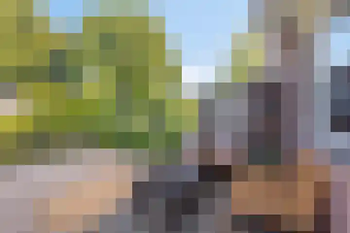 Hilde erf 54 Capelle aan den IJssel thumbnail 8