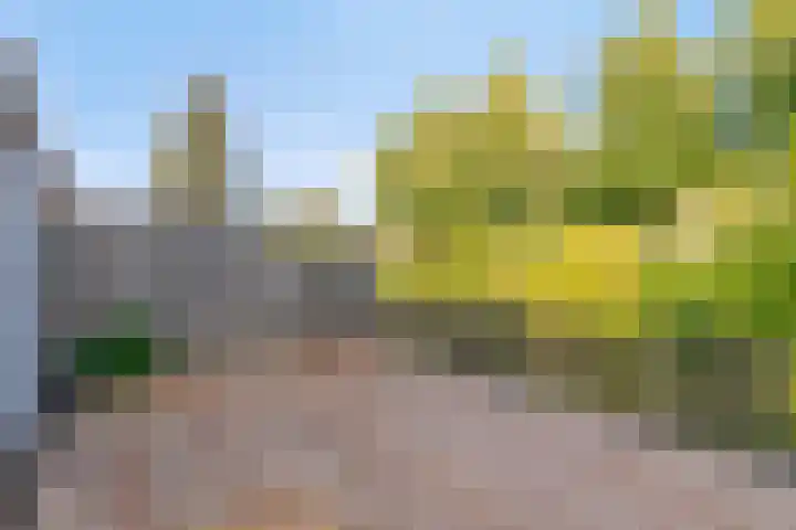 Hilde erf 54 Capelle aan den IJssel thumbnail 9