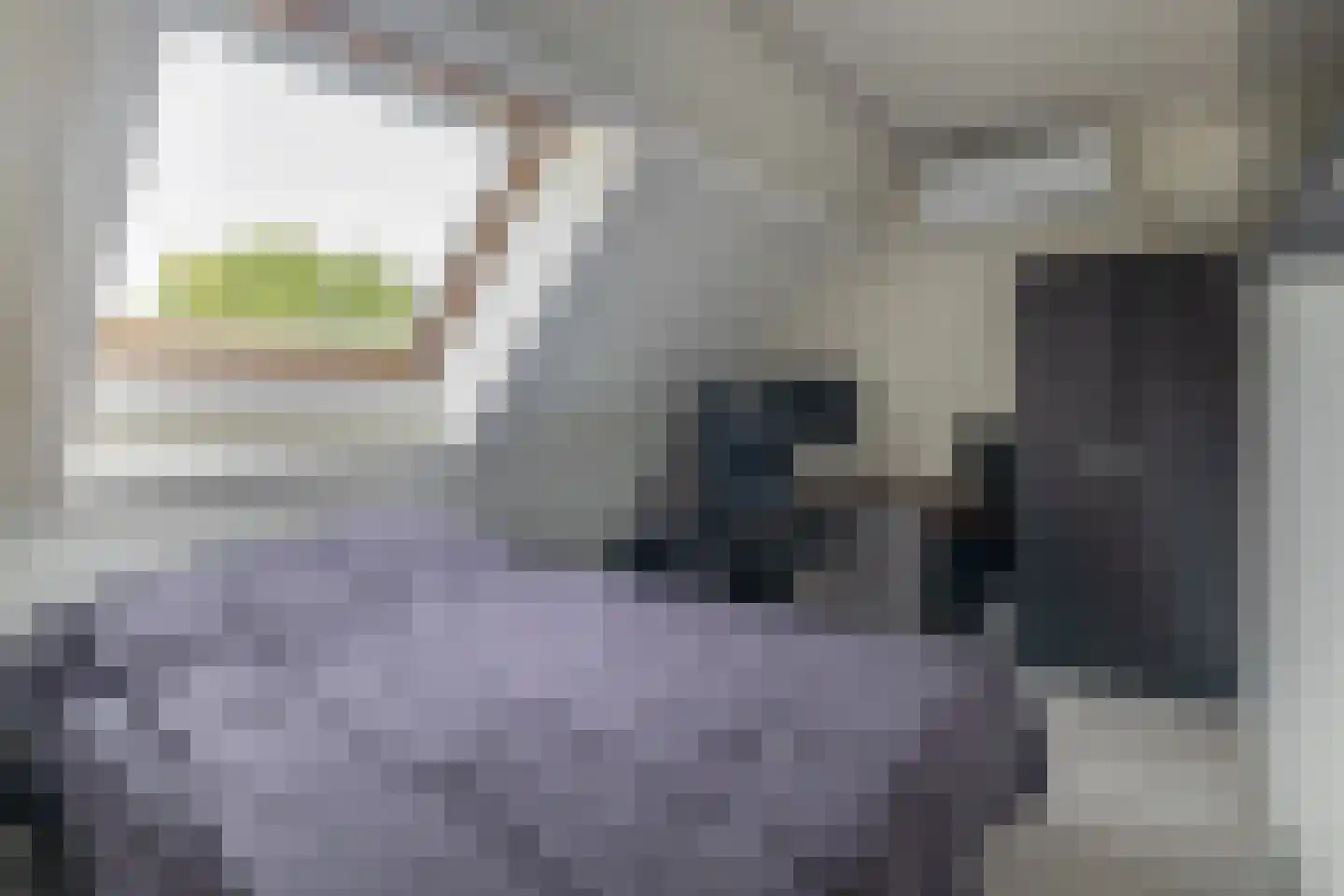 Hilde erf 76 Capelle aan den IJssel thumbnail 30