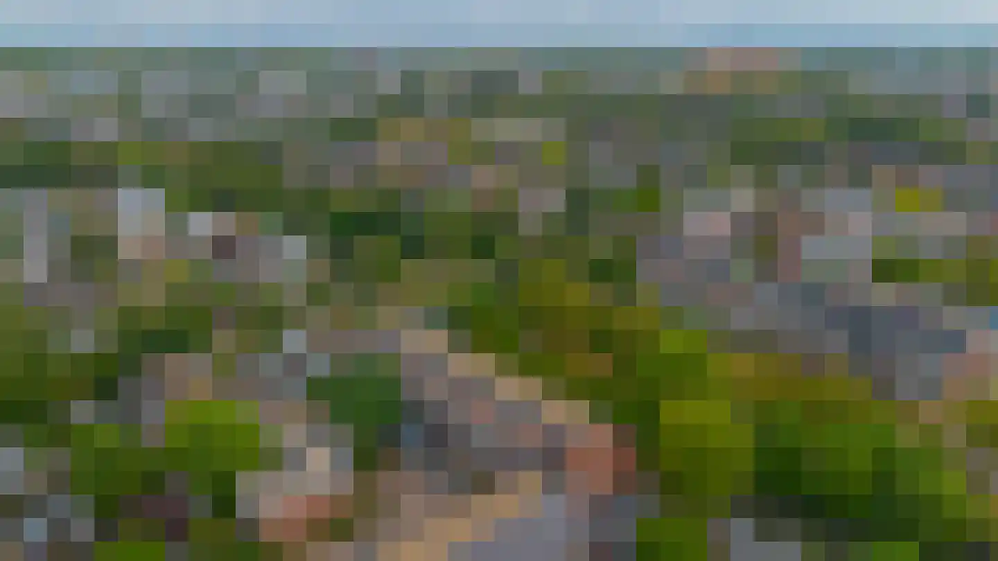 Hilde erf 76 Capelle aan den IJssel thumbnail 34