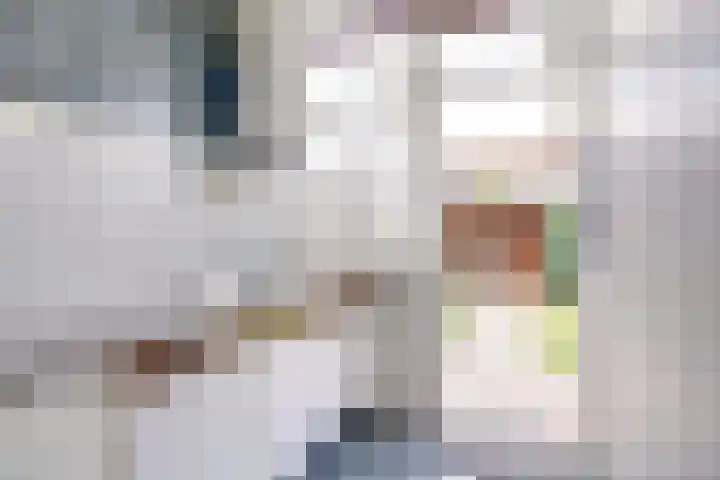 Hildebranddreef 22 Utrecht thumbnail 20
