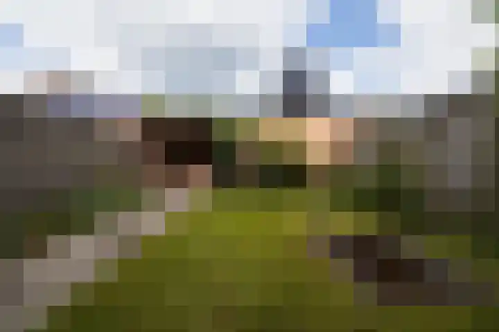 Hildebranddreef 22 Utrecht thumbnail 22