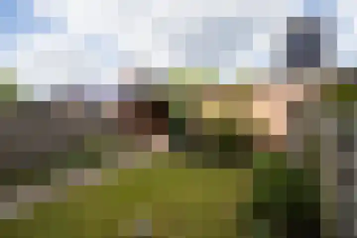 Hildebranddreef 22 Utrecht thumbnail 24
