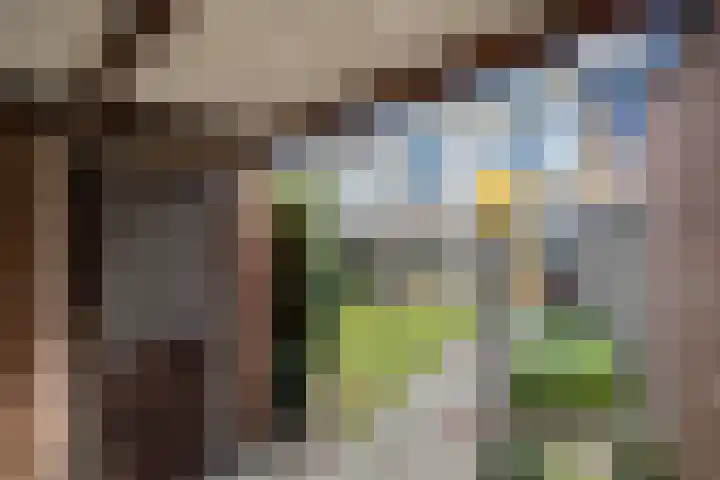 Hildebranddreef 22 Utrecht thumbnail 28