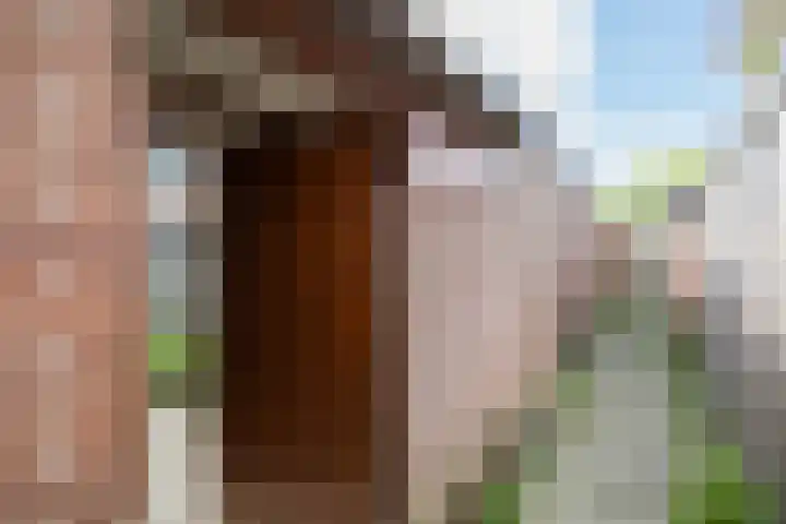Hildebranddreef 22 Utrecht thumbnail 30
