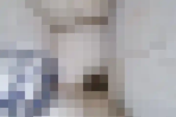 Hildebranddreef 22 Utrecht thumbnail 31