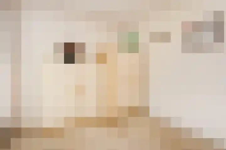 Hildebranddreef 39 Utrecht thumbnail 23