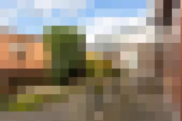 Hildebranddreef 39 Utrecht thumbnail 35
