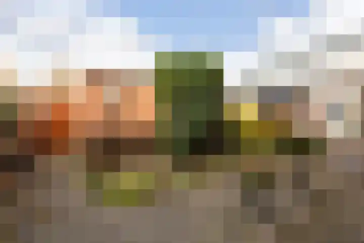 Hildebranddreef 39 Utrecht thumbnail 36