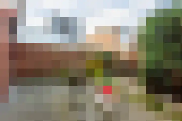 Hildebranddreef 39 Utrecht thumbnail 37