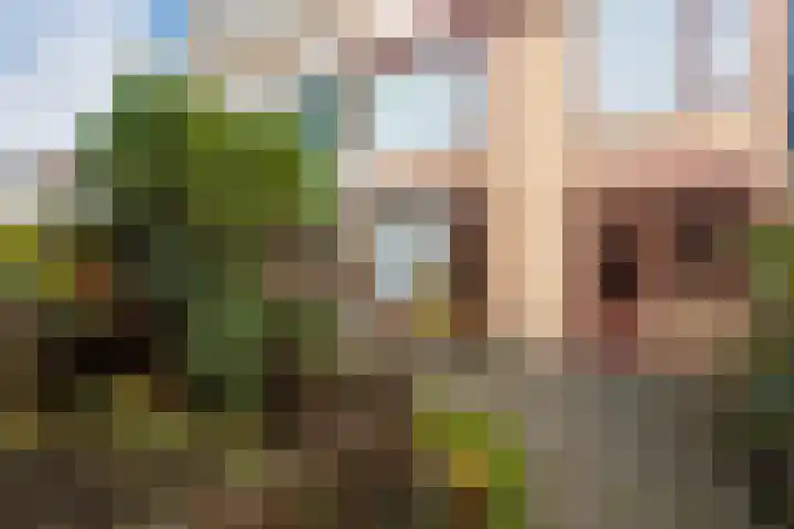 Hildebranddreef 39 Utrecht thumbnail 40