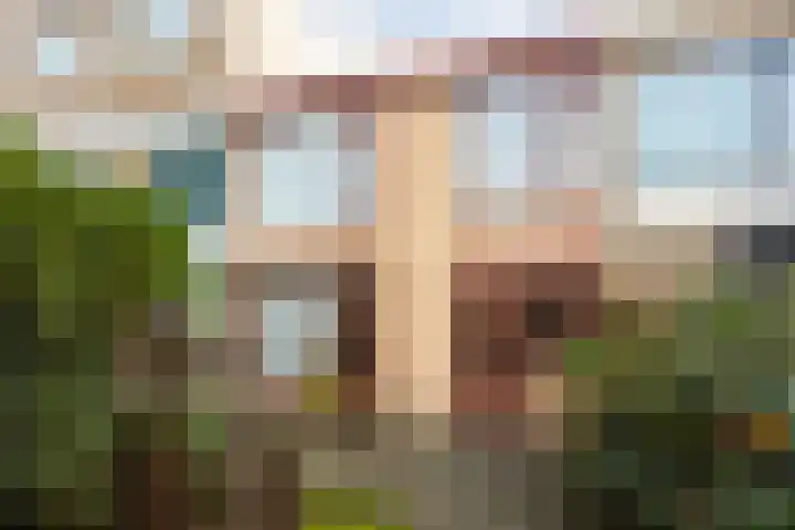 Hildebranddreef 39 Utrecht thumbnail 41