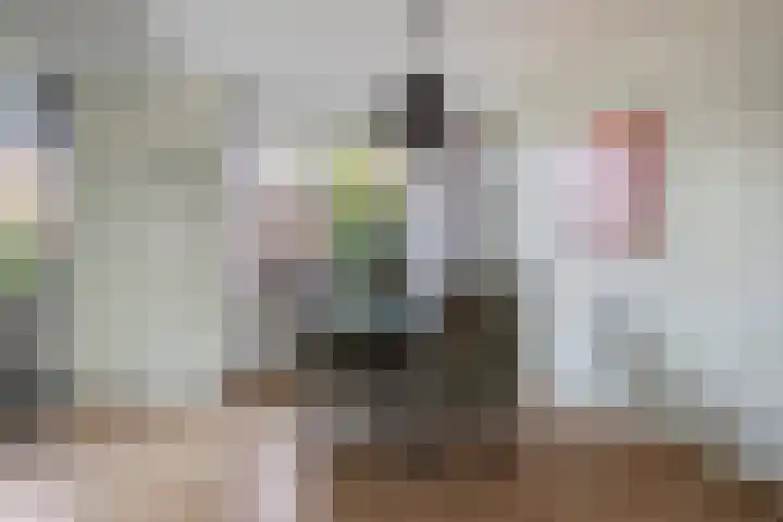 Hildebranddreef 76 Utrecht thumbnail 10
