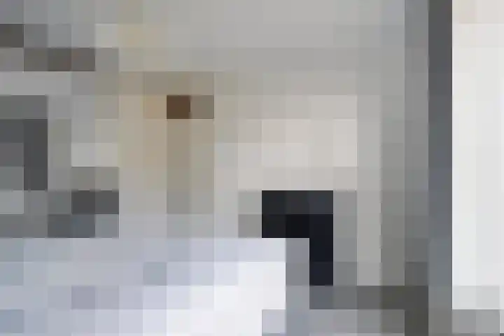 Hildebranddreef 76 Utrecht thumbnail 15