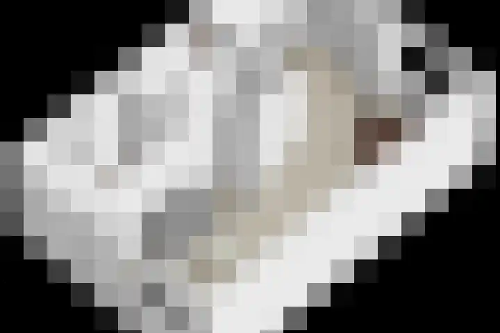 Hildebranddreef 76 Utrecht thumbnail 31