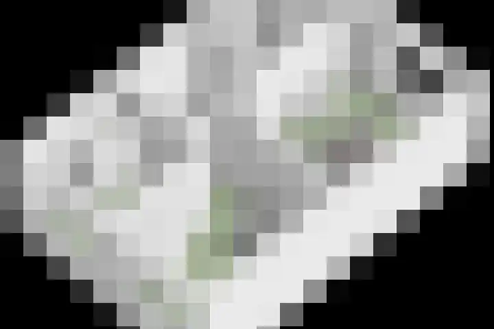 Hildebranddreef 76 Utrecht thumbnail 32