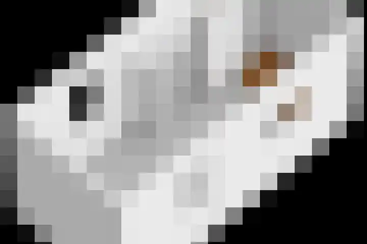 Hildebranddreef 76 Utrecht thumbnail 33