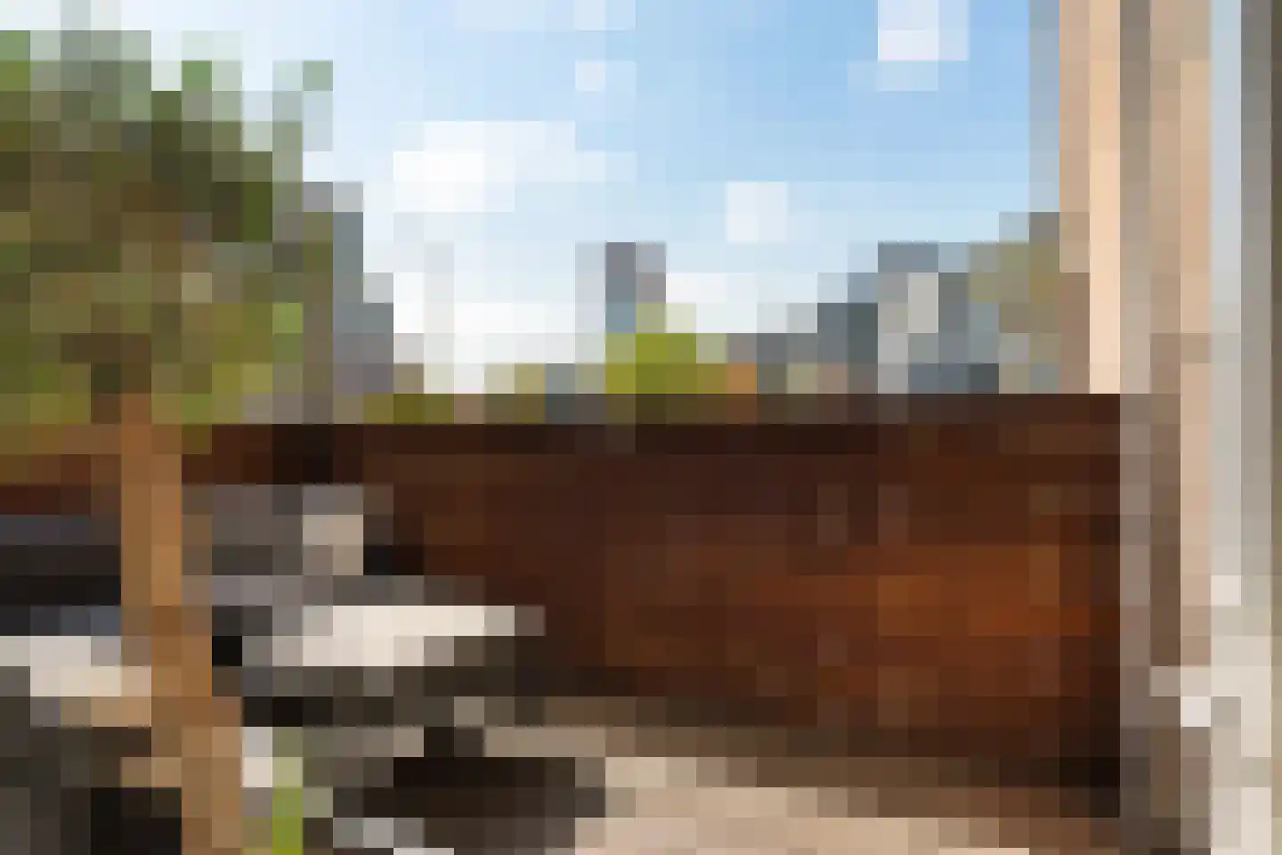 Hildebrandhove 138 Zoetermeer thumbnail 19