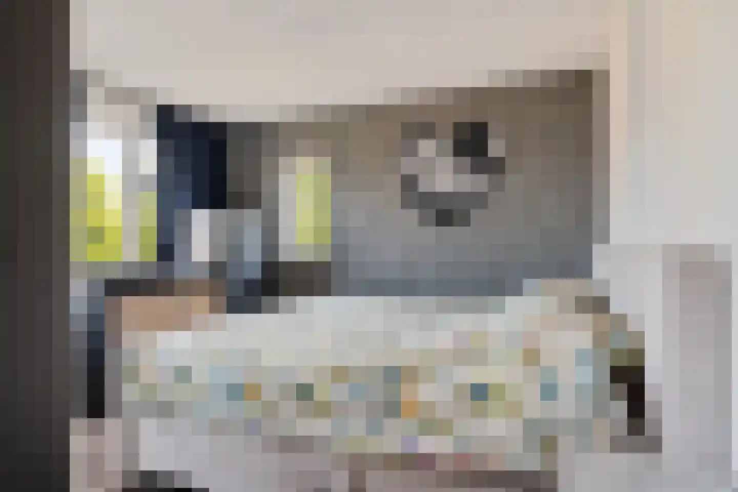 Hildebrandhove 138 Zoetermeer thumbnail 25