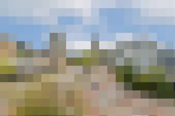 Hildebrandhove 146 Zoetermeer thumbnail 11