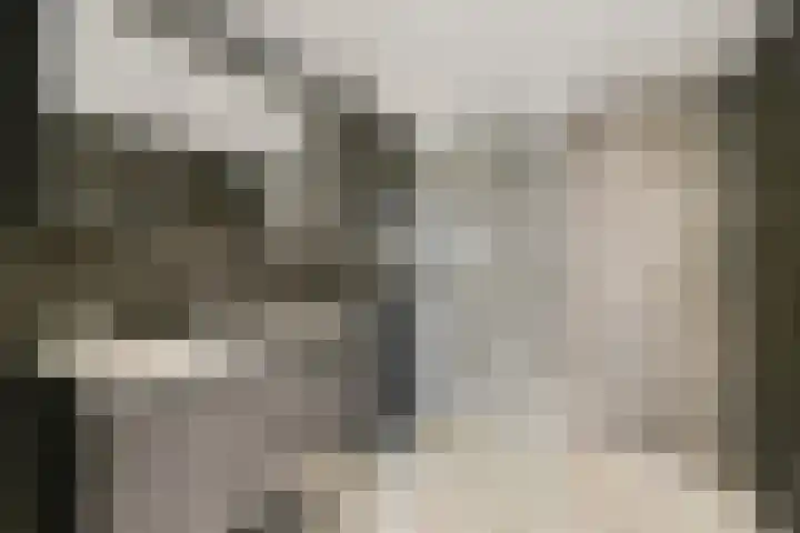 Hildebrandhove 146 Zoetermeer thumbnail 21