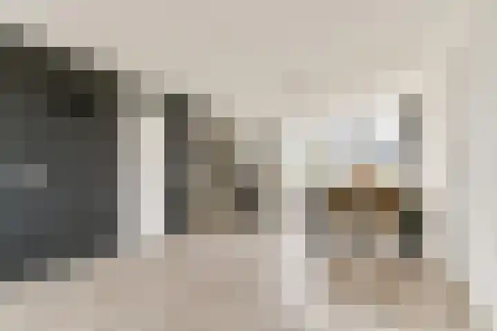 Hildebrandhove 146 Zoetermeer thumbnail 8
