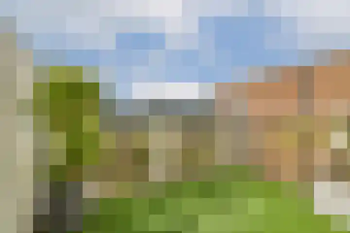 Hildebrandhove 146 Zoetermeer thumbnail 9