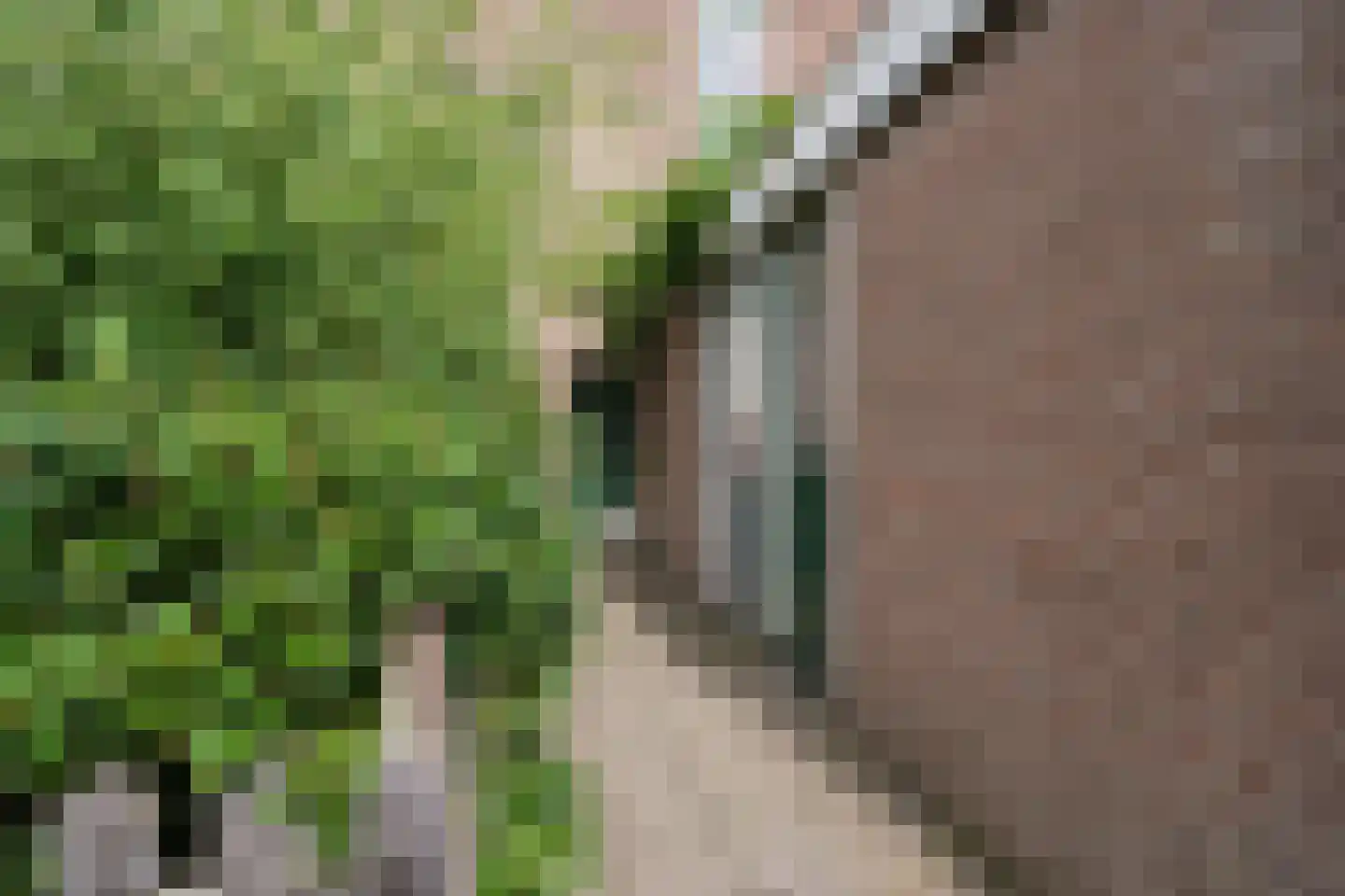 Hildebrandhove 147 Zoetermeer thumbnail 12