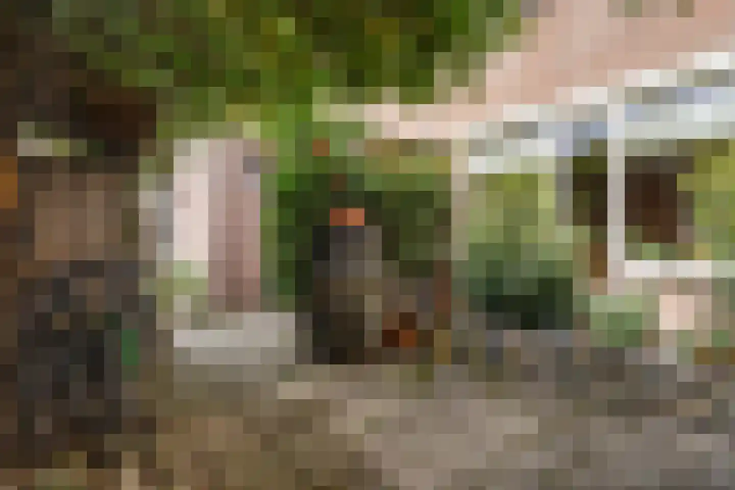 Hildebrandhove 147 Zoetermeer thumbnail 15