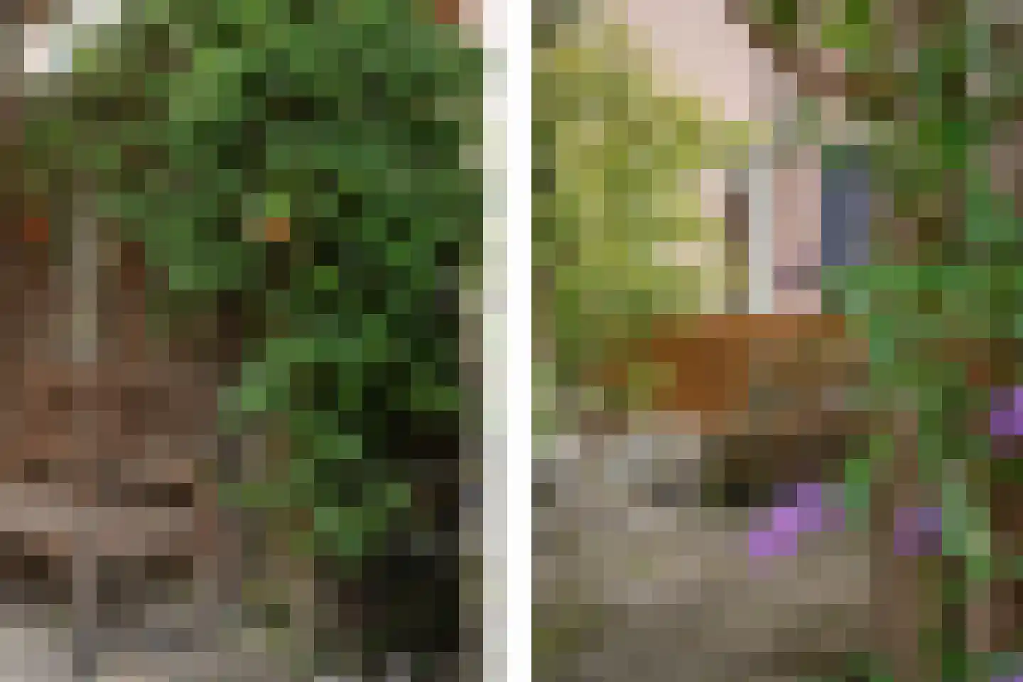 Hildebrandhove 147 Zoetermeer thumbnail 16