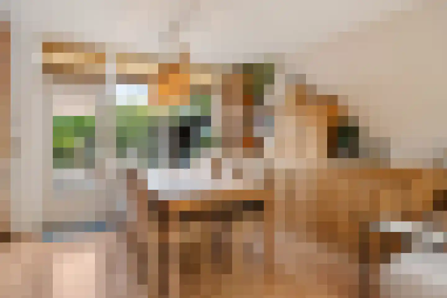 Hildebrandhove 147 Zoetermeer thumbnail 24