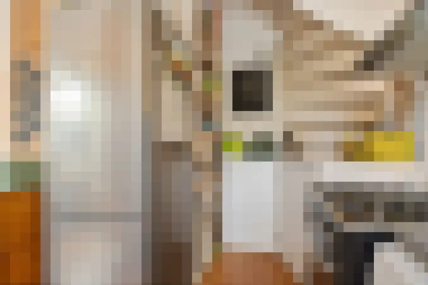 Hildebrandhove 147 Zoetermeer thumbnail 28