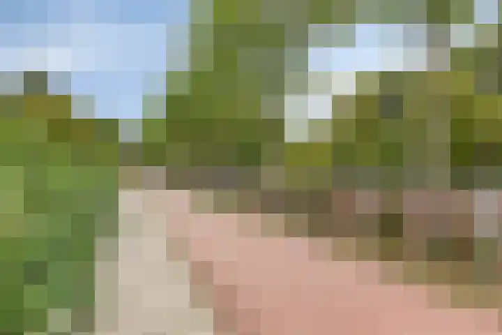 Hildebrandhove 158 Zoetermeer thumbnail 21