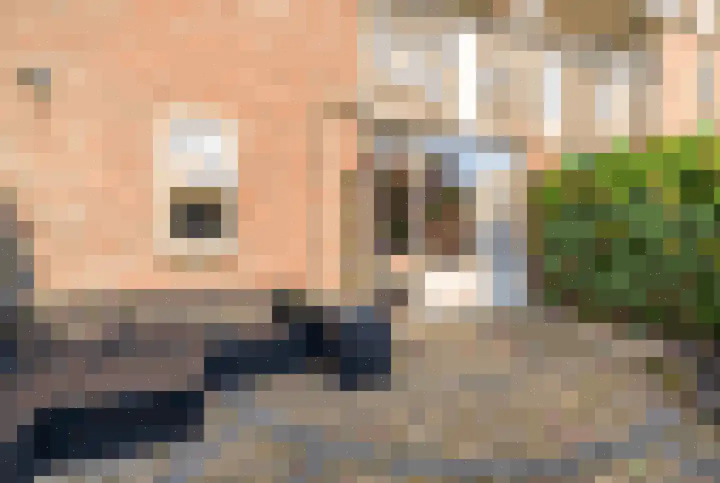 Hildebrandhove 162 Zoetermeer thumbnail 9