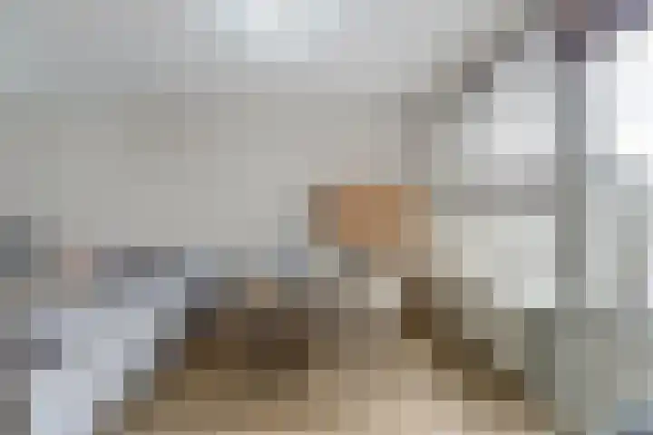 Hildebrandhove 22 Zoetermeer thumbnail 11