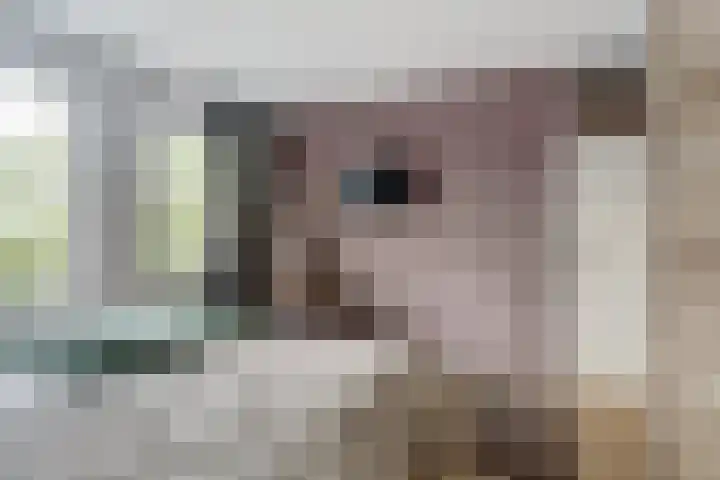 Hildebrandhove 22 Zoetermeer thumbnail 15