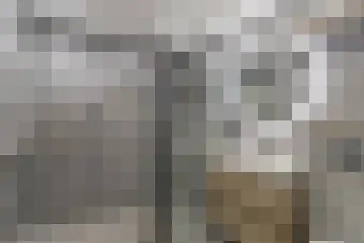 Hildebrandhove 22 Zoetermeer thumbnail 20