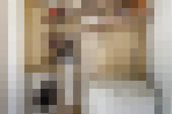 Hildebrandhove 22 Zoetermeer thumbnail 22