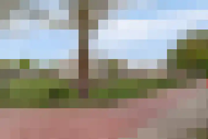 Hildebrandhove 22 Zoetermeer thumbnail 4