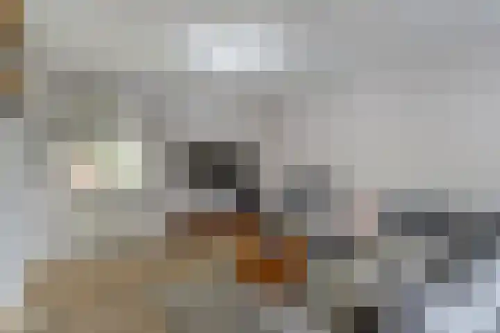 Hildebrandhove 22 Zoetermeer thumbnail 7