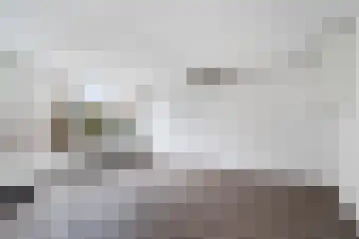 Hildebrandhove 25 Zoetermeer thumbnail 22