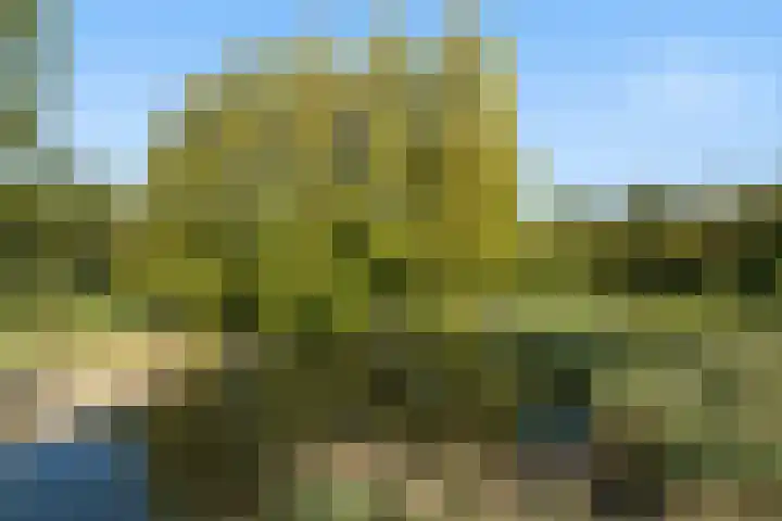 Hildebrandhove 25 Zoetermeer thumbnail 36