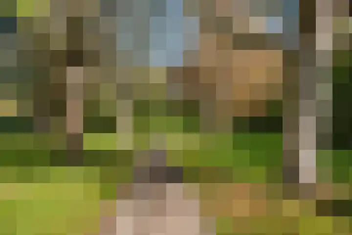 Hildebrandhove 25 Zoetermeer thumbnail 37