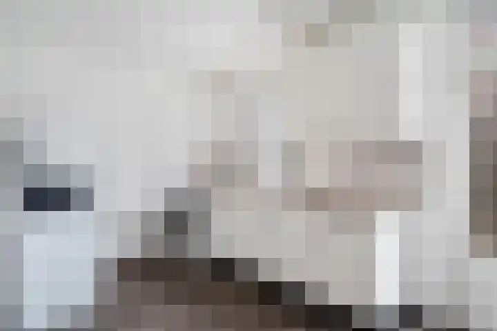 Hildebrandhove 25 Zoetermeer thumbnail 4