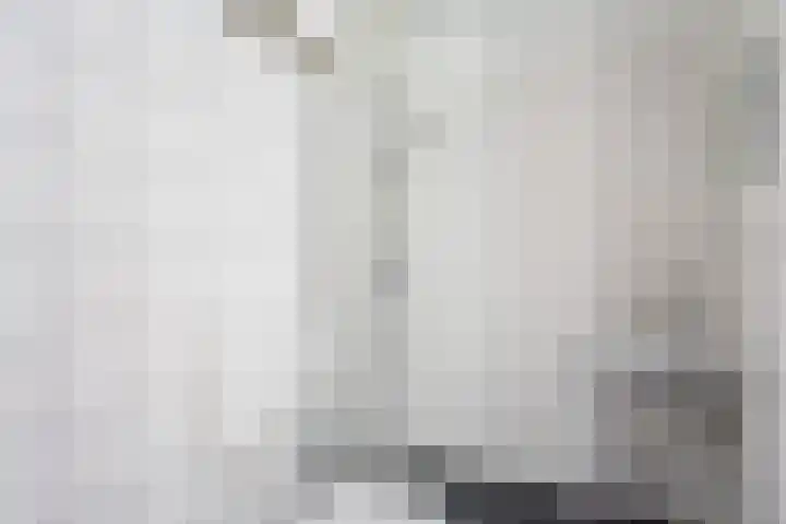 Hildebrandhove 25 Zoetermeer thumbnail 9